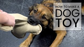 DIY Stuffed Bone Dog Toy [upl. by Nilved741]