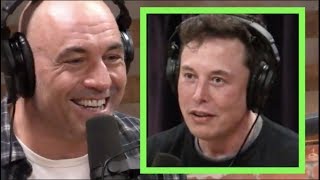 Joe Rogan  The Difficulty of Interviewing Elon Musk [upl. by Neillij]