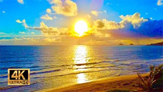 Sunrise from Kailua Beach in Oahu Hawaii  12 Hours of Beach Sunrise  Ocean Waves [upl. by Aihtibat577]