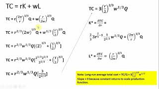 Conditional Demand for inputs [upl. by Halliday298]