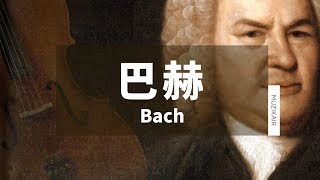 MUZIK精選巴赫與大提琴古典音樂｜The Best Cello Selection of JS Bach [upl. by Nahtanod777]