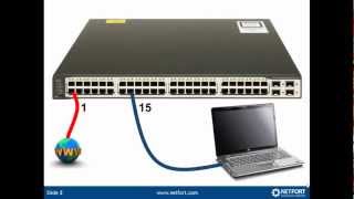 How to setup SPAN ports [upl. by Ogawa]