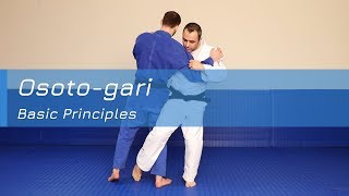 Osotogari  Basic principles [upl. by Ibocaj]