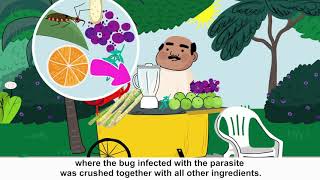 How Chagas disease is transmitted [upl. by Leehar]