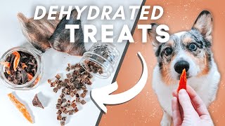 How To Dehydrate Treats For Your Pets Super Simple [upl. by Aserret676]