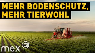 Regenerative Landwirtschaft Das Agrarsystem der Zukunft  mex [upl. by Harmonia530]