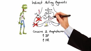 Pharmacology  ADRENERGIC RECEPTORS amp AGONISTS MADE EASY [upl. by Nashom34]