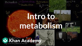 Introduction to metabolism anabolism and catabolism  Khan Academy [upl. by Ilujna]