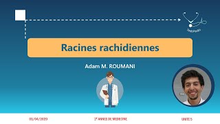 UI5  Racines rachidiennes [upl. by Rehotsirk]