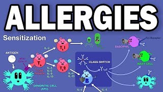 ALLERGIESTYPE I HYPERSENSITIVITY [upl. by Erolyat]