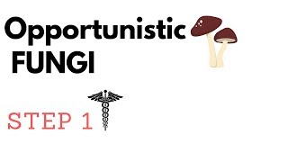 Opportunistic Fungi  Aspergillus Mucormycosis P jirovecii Candida amp Cryptococcus STEP1 [upl. by Timmi715]