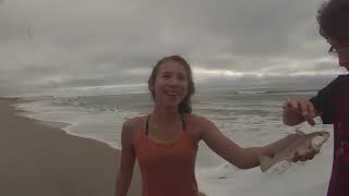 Kure Beach NC Fishing on the Beach [upl. by Anasiul221]