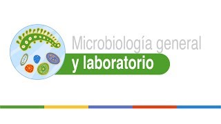 Indentificación bioquímica de microorganismos [upl. by Jacqueline]