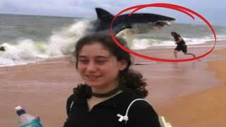 10 Shark Attacks You Won’t Believe [upl. by Nizam]