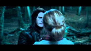 Harry Potter and the Deathly Hallows part 1  Hermione and the Snatchers in the forrest HD [upl. by Enasus]