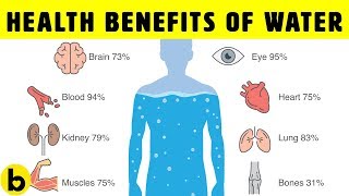 8 POWERFUL Health Benefits Of Drinking Water [upl. by Aleen490]