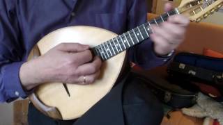 Hungarian Dance  Mandolin Solo [upl. by Shellans]