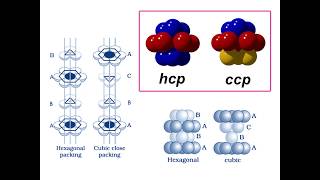 hcp vs ccp [upl. by Mike565]