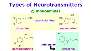 Neurotransmitters Type Structure and Function [upl. by Arabel872]