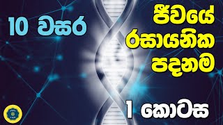 Grade 10 Science in Sinhala Medium  10 විද්‍යාව 1 පාඩම 1 කොටස  ජීවයේ රසායනික පදනම [upl. by Leander266]