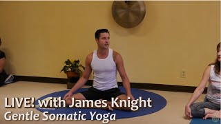 Gentle Somatic Yoga LIVE with James Knight ERYT c1 [upl. by Aelahc]