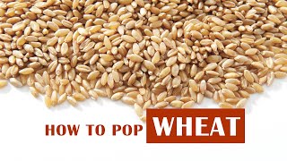 How to Pop Wheat [upl. by Niuqauj402]