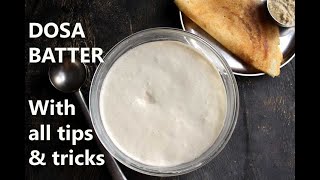 DOSA BATTER RECIPE  HOW TO MAKE DOSA BATTER  HOME with tips and tricks [upl. by Azpurua]