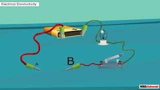 Science  Metal and NonMetals  Electrical Conductivity [upl. by Gitel]