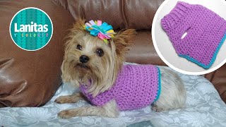 Sueter o Jersey para mascotas tejido a CROCHET  easy crochet dog sweater pattern Lanitas y Colores [upl. by Frederiksen]