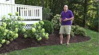 Front Yard Landscape Design Ideas  Trumbull CT Landscape Designer [upl. by Acirret877]