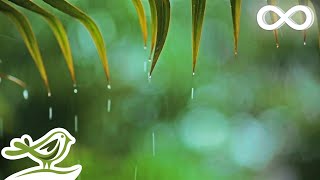 You amp Me Relaxing Piano Music amp Soft Rain Sounds For Sleep amp Relaxation by Peder B Helland [upl. by Imugem]