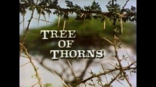 Acacia Tree of Thorns 1983 [upl. by Oralie754]