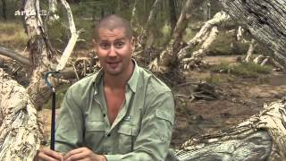 Chasseur de Serpent DOCUMENTAIRE ANIMALIER [upl. by Geraldine606]