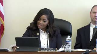 Ranking Member Jasmine Crockett delivers opening remarks [upl. by Marinelli570]