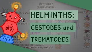 Helminths Cestodes and Trematodes transmission clinical importance and treatment [upl. by Zailer769]