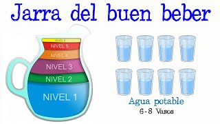 💧 Jarra del buen beber 💧 Fácil y Rápido  BIOLOGÍA [upl. by Barcot]