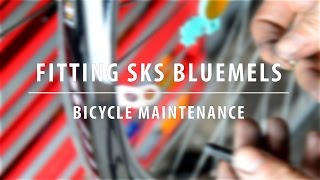 Installing SKS Bluemels Mudguards  My Favourite Commuter Mudguards [upl. by Sivrup]