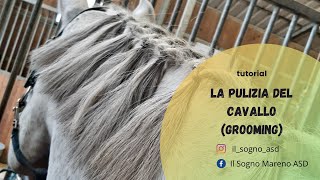 La pulizia del cavallo grooming  TUTORIAL [upl. by Baoj649]