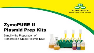 Protocol Plasmid Purification In Just 20 Minutes  Zymo Research [upl. by Dopp]