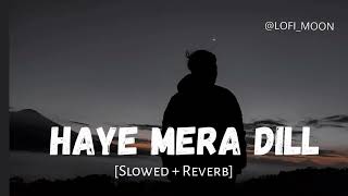 Haye Mera Dil Slowed  Reverb Alfaaz  Honey Singh  Lofi MOON [upl. by Ikkir]