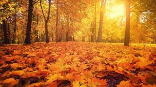 Autumn Days – Primary School Hymn [upl. by Stillman]