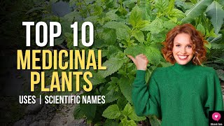 Top 10 Medicinal Plants And Their Uses  Scientific Names  Medicinal Plants You Can Grow At Home [upl. by Nyved311]