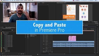 Copy and Paste in Premiere Pro [upl. by Bamberger332]