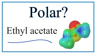 Is Ethyl acetate C4H8O2 Polar or NonPolar [upl. by Melak]