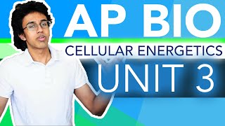 AP Biology Unit 3 Crash Course Cellular Energetics [upl. by Milena]