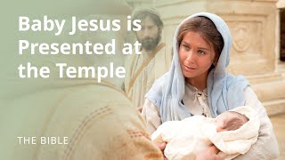 Luke 2  The Christ Child Is Presented at the Temple  The Bible [upl. by Iffar166]