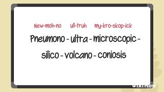 How to Pronounce the Longest Word in the English Dictionary [upl. by Swart]