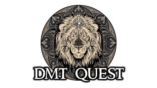 DMT Quest Documentary [upl. by Nwahsram]