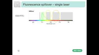 Fluorescence and Compensation in Flow Cytometry [upl. by Wengert610]