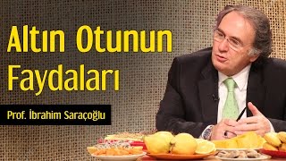 Altın Otunun Faydaları  Prof İbrahim Saraçoğlu [upl. by Sherye224]